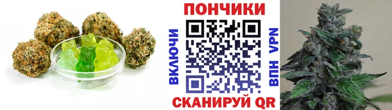 Canna-Cookies марихуана  Купить закладки  Вилючинск 